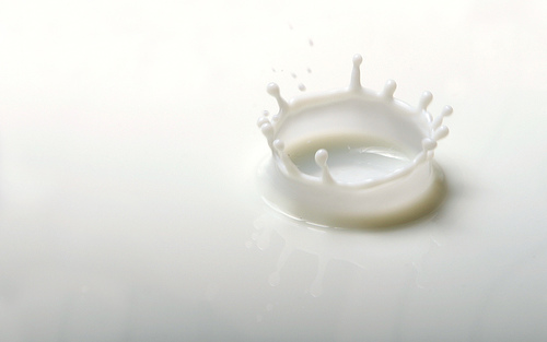 A proposito di questa immagine: Latte Web, spopola la bufala del latte scaduto ribollito