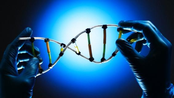 Scienza - Si parla di genoma artificiale