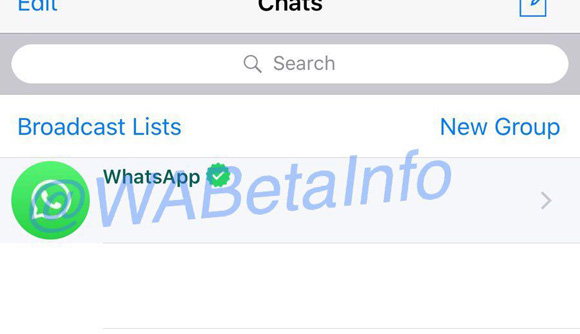 Whatsapp - Al via la chat di servizio